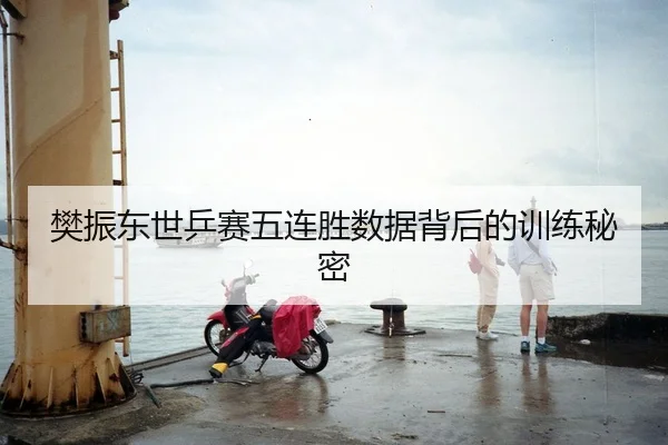 樊振东世乒赛五连胜数据背后的训练秘密